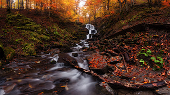 Autumn, forest, water current, waterfall, nature HD wallpaper