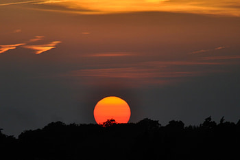 Our Sun, nature, amazing, sun, sunset HD wallpaper