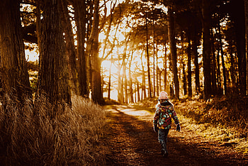 Little Girl, childhood, graphy, Walk, cute, baby, , fair, beauty, nice, Nexus, kid, adorable, bonny, hat, sunset, sweet, white, Belle, girl, beautiful, people, tree, little, comely, pink, sightly, pretty, lovely, forest, dainty, pure, child HD wallpaper