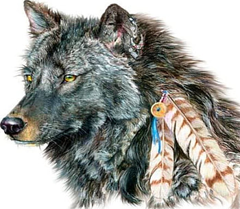 Indian wolf, dog, friend, pet, wolf HD wallpaper