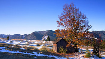 cabin on a hill in rumania, winter, hill, cabin, tree HD wallpaper