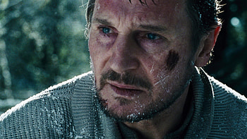 Liam Neeson, The Grey movie HD wallpaper