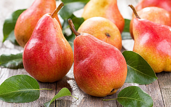 Macro pear, Detailed capture, Lush fruit, Nature's beauty HD wallpaper