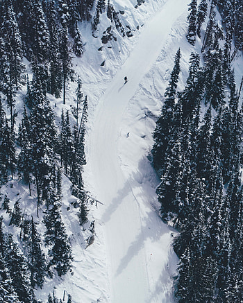 Nature, Trees, Mountains, Snow, View From Above HD phone wallpaper