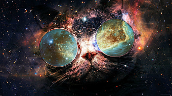 Space Cat HD wallpaper