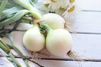 Close-up of fresh spring onions on a rustic white wooden table with daisies. HD wallpaper