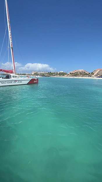 Aruba Island, Snorkeling paradise, Travel inspiration, Tropical beauty HD phone wallpaper