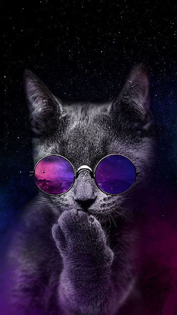 Kisses to you, love, cat, kiss, funny HD phone wallpaper