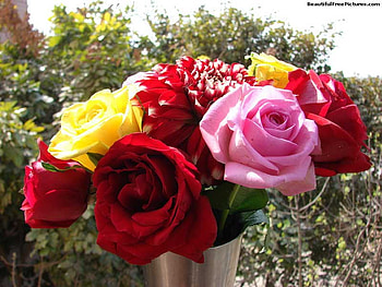 BEAUTIFUL BOUQUET, bouquet, beautiful, roses, beauty HD wallpaper