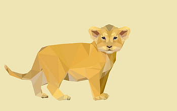 Baby lion, Facets HD wallpaper