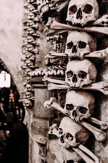 Close-up of skulls and bones in a Gothic, atmospheric setting, evoking a sense of ancient eeriness. HD phone wallpaper