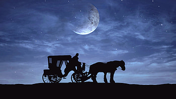 :), blue, black, horse, moon, fantasy, luna, vector, silhouette, halloween HD wallpaper