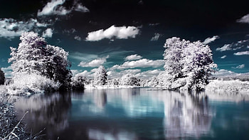Winter In Minnesota, Reflections, Winter, Lakes, Trees, Nature HD wallpaper