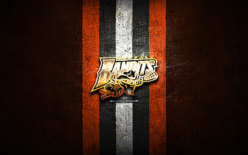 Buffalo Bandits, golden logo, NLL, orange metal background, american lacrosse team, Buffalo Bandits logo, National Lacrosse League, lacrosse HD wallpaper