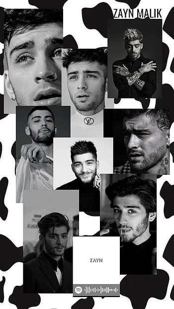 Zayn, head, nose HD phone wallpaper