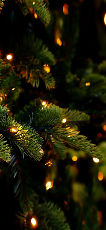 Merry Christmas and Happy New Year, Homescreen delight, Festive joy, Holiday cheer HD phone wallpaper