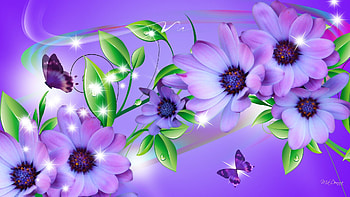 Butterfly on purple flower HD wallpaper