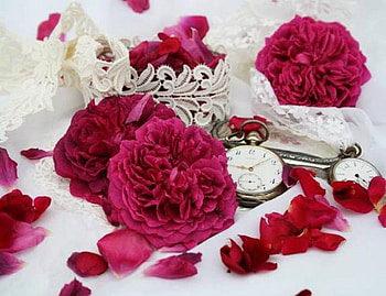 Time waits....., burgundy, roses, pretty, petals, watches, lace HD wallpaper