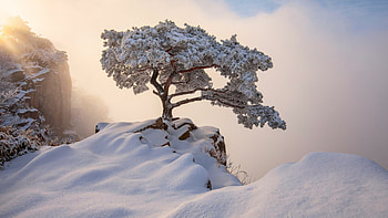 South Korea, Winter scenery, resolution, Stunning HD wallpaper