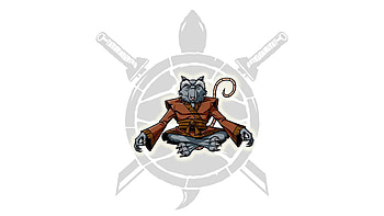 Master Splinter — Teenage Mutant Ninja Turtles (2003), Teenage Mutant Ninja Turtles (2003) HD wallpaper