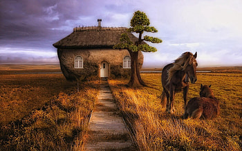 Animals, Trees, Grass, Horses, Building, Couple, Pair HD wallpaper