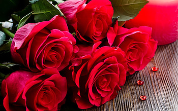 Romantic Rose, rose, romantic, love, red HD wallpaper