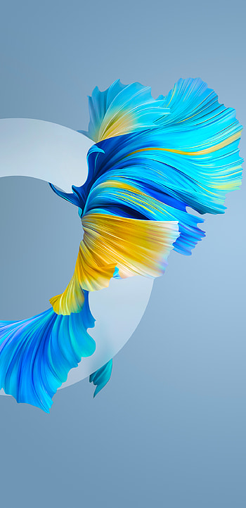 Huawei Mate 40 Pro HD phone wallpaper