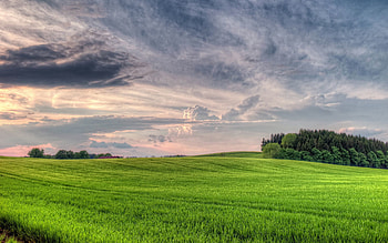 Nature, Sky, Clouds, Forest, Field, Mainly Cloudy, Overcast, Volumetric, Meadow, Voluminous, Shire, Shir HD wallpaper