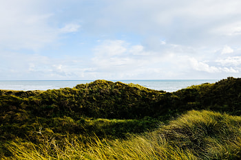 Nature, Grass, Sea, Shore, Bank, Hills HD wallpaper