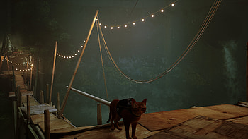 stray 11, video game, Stray HD wallpaper
