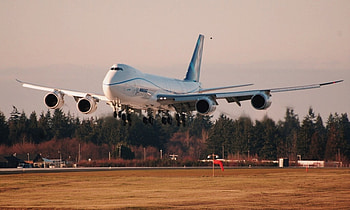 Boeing 747, plane, boing, land, tree HD wallpaper