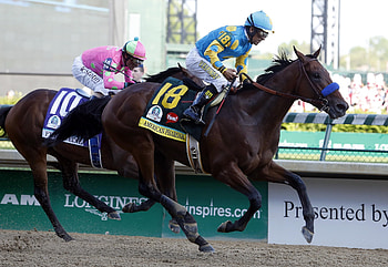 American Pharoah, Kentucky Derby HD wallpaper