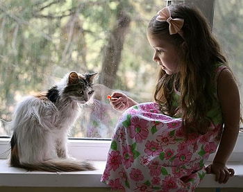 Cute girl with cat, baby, cute, girl, cat HD wallpaper