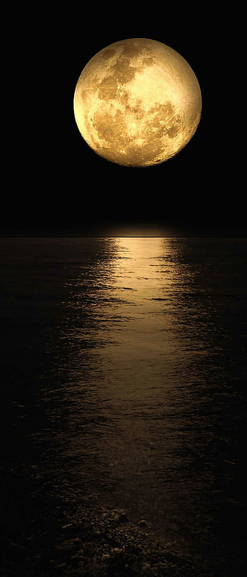 Moonlight, Moon HD phone wallpaper