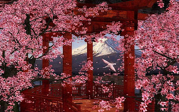 Japanese Flower Garden, pilars, spring, cherry, blossoms HD wallpaper