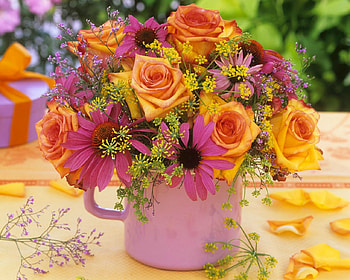 Lovely Flowers, flowers, bloom, cup, petals HD wallpaper
