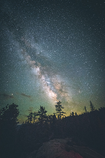 Nature, Trees, Stars, Night, Usa, Starry Sky, Milky Way, United States, Yosemite Valley HD phone wallpaper