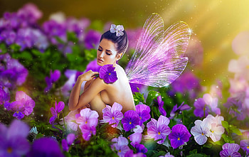 Violet Fairy, digital, art, fantasy, graphy, girl, flowers, violets, woman, fairy, purple HD wallpaper