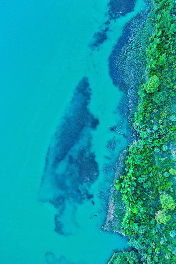 Plants, Nature, Water, View From Above, Island HD phone wallpaper