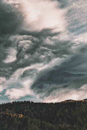 Nature, Trees, Sky, Clouds, View From Above, Forest HD phone wallpaper
