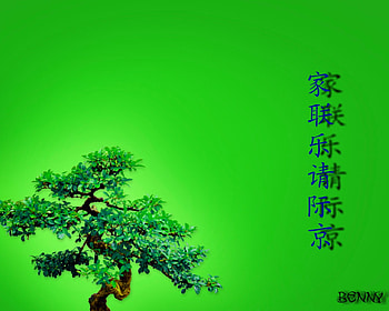 bonzai HD wallpaper