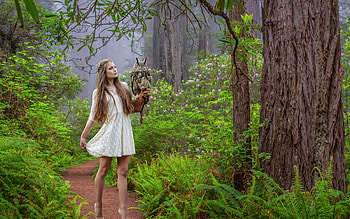 Girl with her Owl, owel, model, forest, dress, usa HD wallpaper