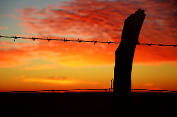 Sunset, Horizon, Miscellanea, Miscellaneous, Barbed, Wire, Prickly HD wallpaper
