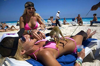 Funny Girls On Beach, on beach, cool, funny girls HD wallpaper