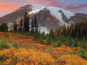 Nature, Trees, Mountains, Autumn, Snow, Vertex, Top, Color, Colors, Ate HD wallpaper