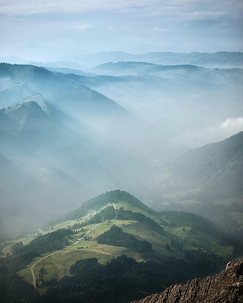Nature, Trees, Fog, Relief, Hills HD phone wallpaper