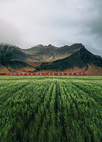 Nature, Grass, Mountains, Rocks, Fog, Train HD phone wallpaper