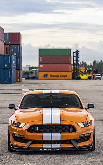 Ford Mustang Shelby Gt350, Vehicles, Muscle Car, Ford HD phone wallpaper