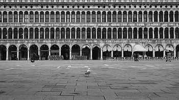 Representative democracy in Italy, COVID-19 emergency HD wallpaper