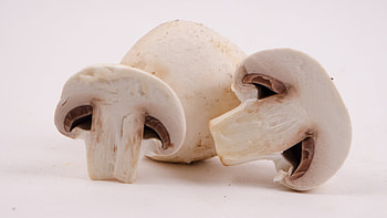 Buy white mushrooms online, Vegan snack option, Convenient and fresh, High-quality produce HD wallpaper